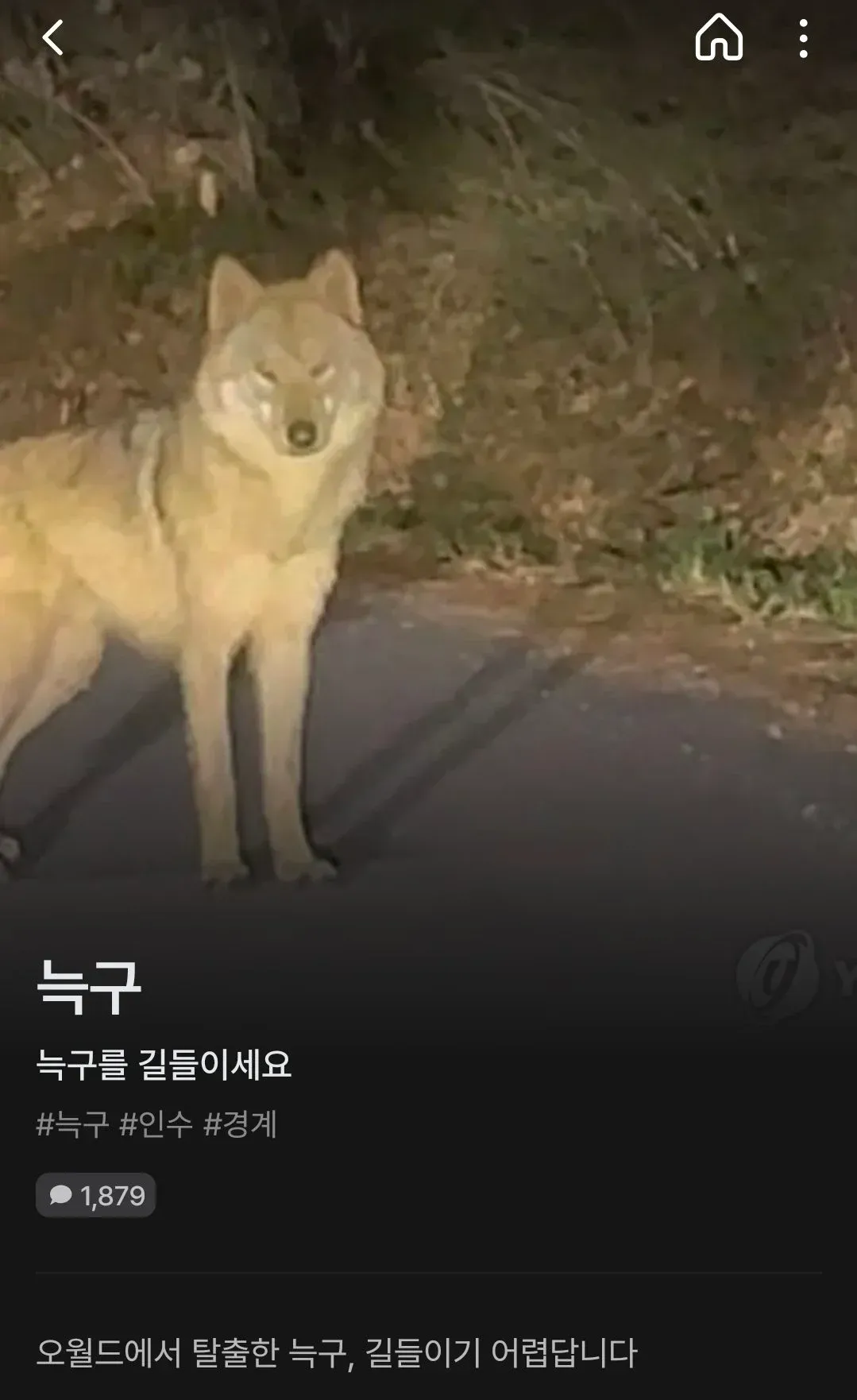 게임 57번 길들이기 관련 안내 이미지