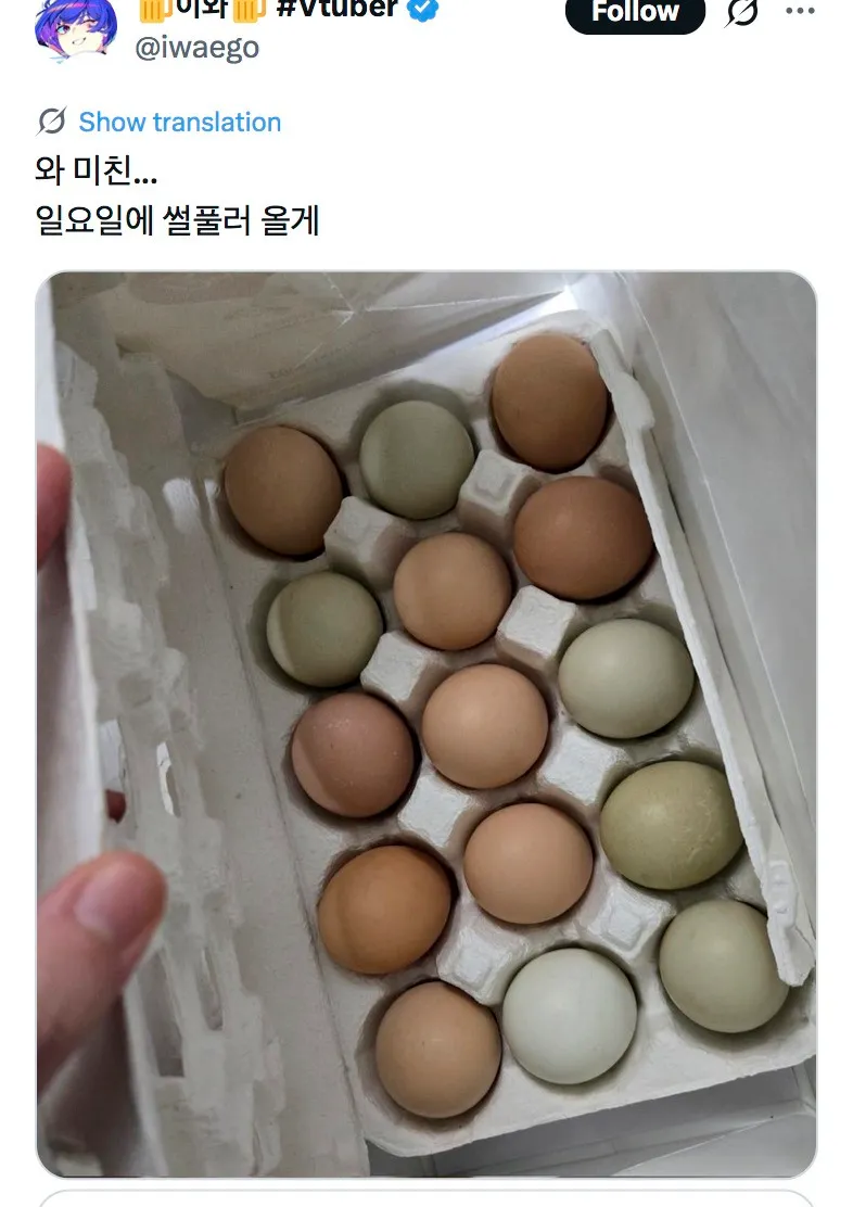 카놀라유를 달걀과 물물교환하자는 당근마켓 메시지 스크린샷