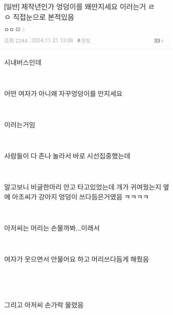 시내버스에서 강아지 엉덩이 만지는 아저씨 일화 캡처