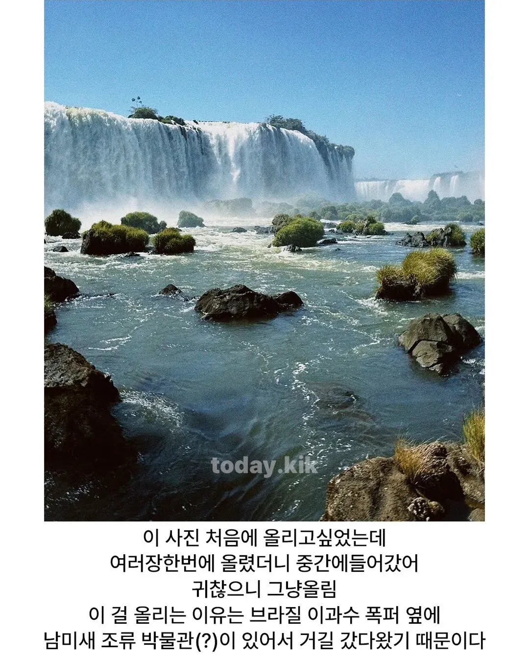 이과수 폭포 옆 남미새 조류 박물관 방문 후기 사진