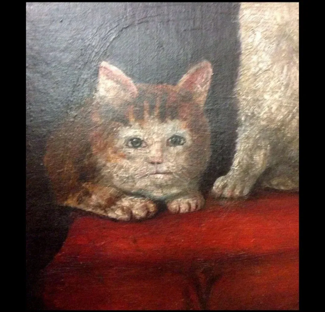 16세기 중갑옷을 입은 고양이 그림