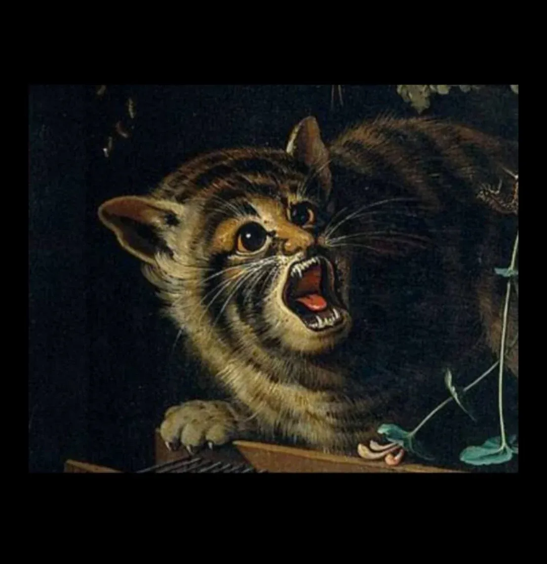 16세기 중갑옷을 입은 고양이 그림 모음