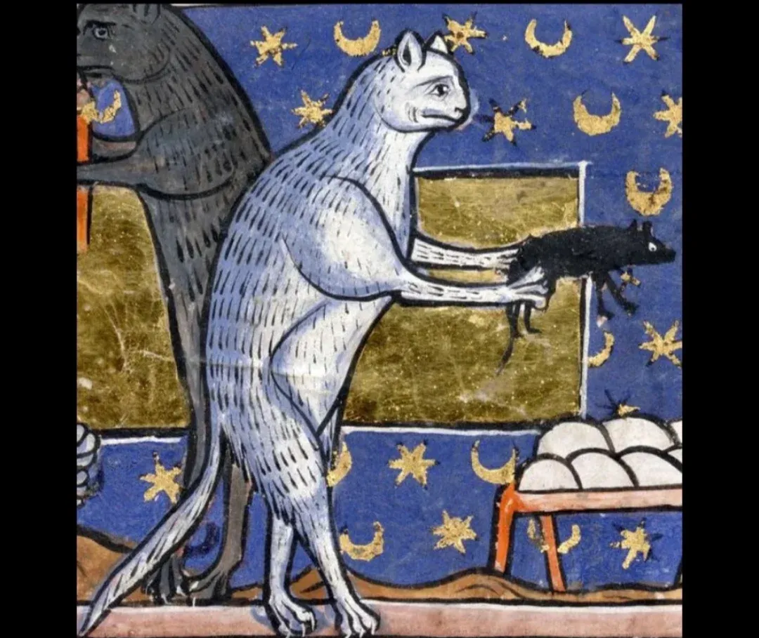 16세기 중갑옷을 입은 고양이 그림