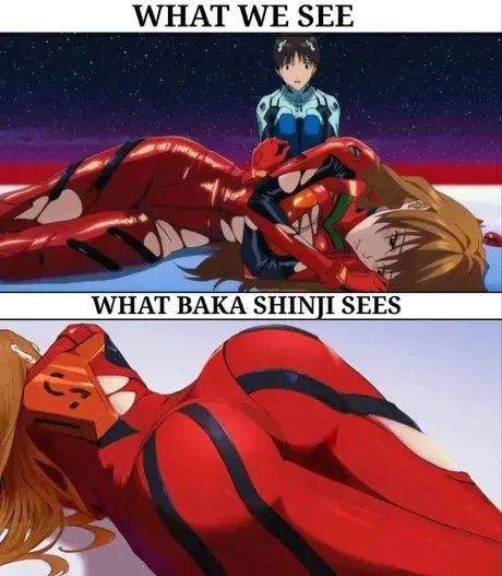 아스카를 보는 일반인의 시선과 신지의 시선을 비교한 밈