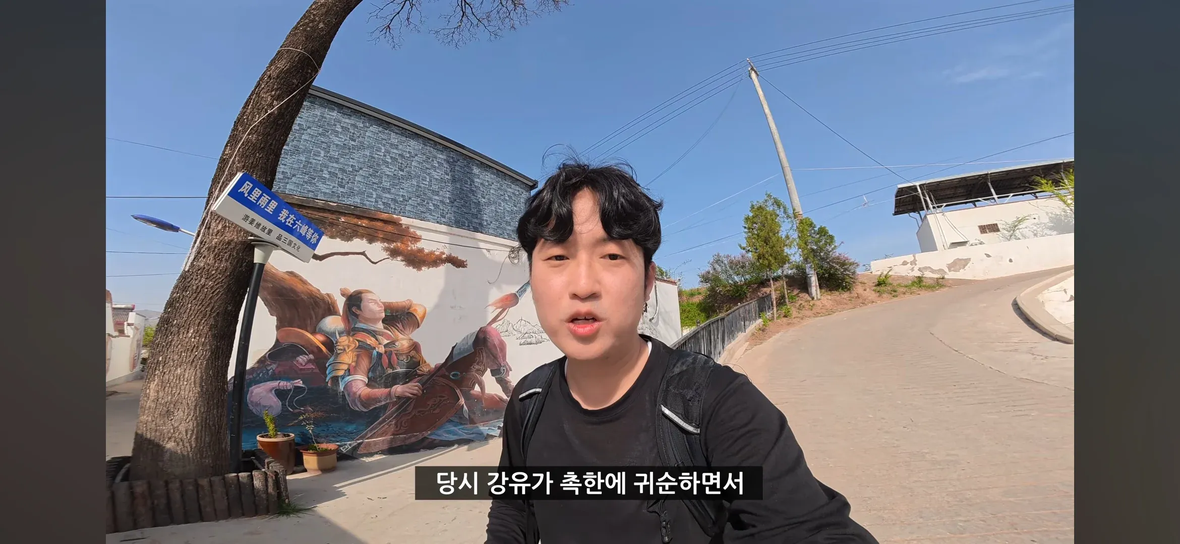 촉한에 귀순한 강유의 묘
