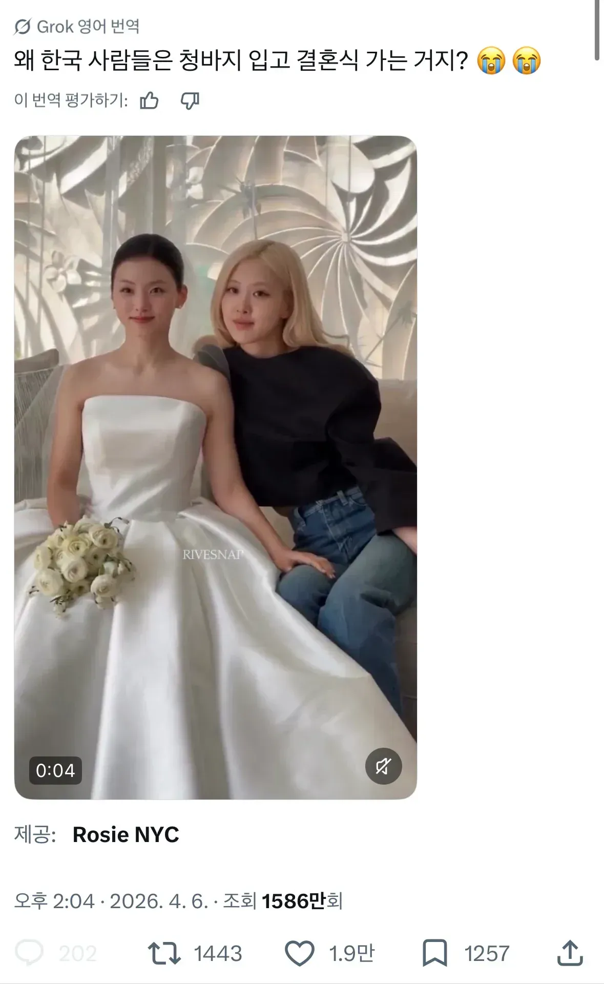 청바지 결혼식 문화에 대한 외국인 질문 Grok 번역