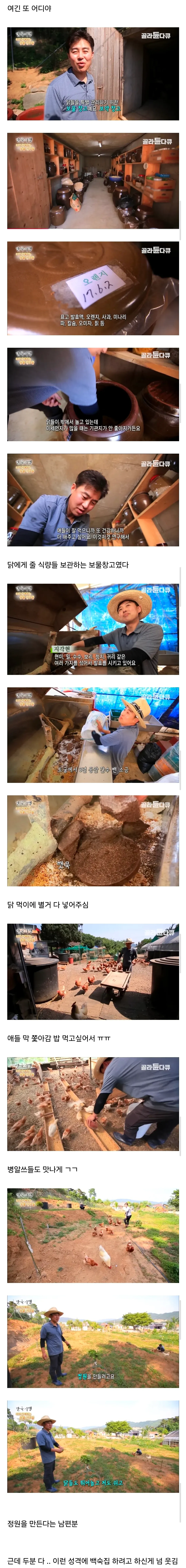 토종닭 백숙집을 위해 정성스레 닭을 기르는 부부