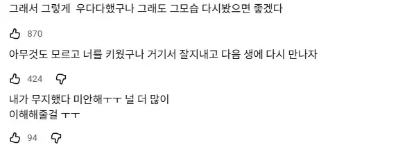 강아지 목욕 후 신나서 뛰는 이유에 대한 공감 댓글들