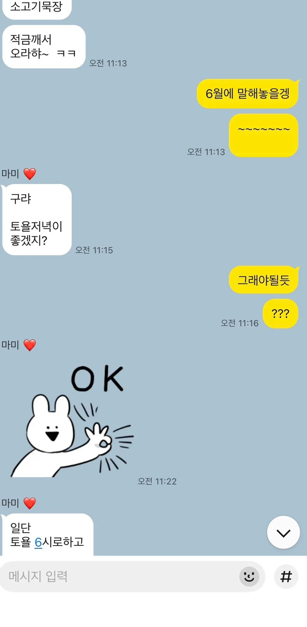 ```
메시지 입력창, 엄마에게 적금 관련 사항을 6월에 말할 계획 대화
```