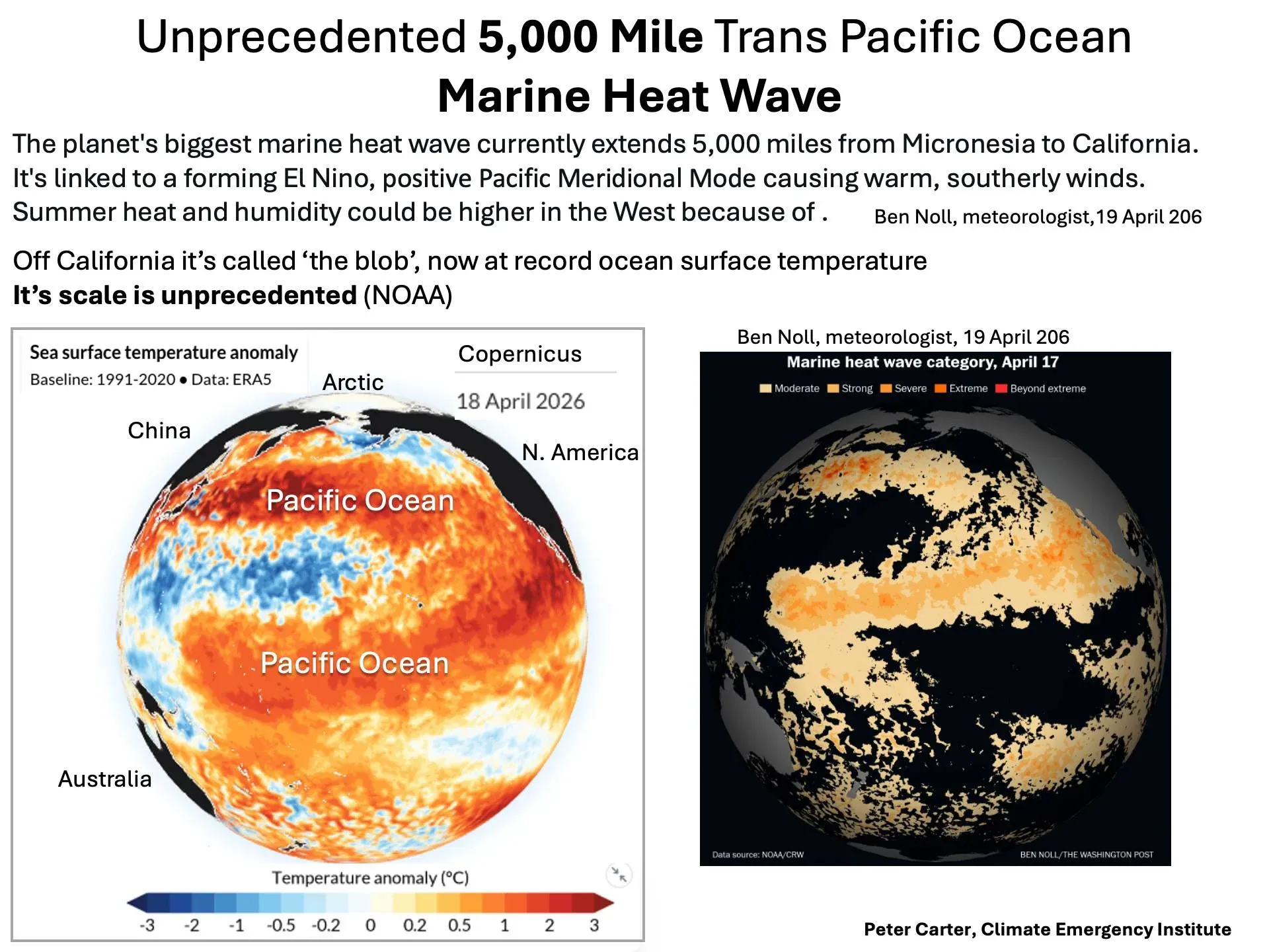 미크로네시아에서 캘리포니아까지 5,000마일 규모의 태평양 해수 온난화 현상을 보여주는 지도