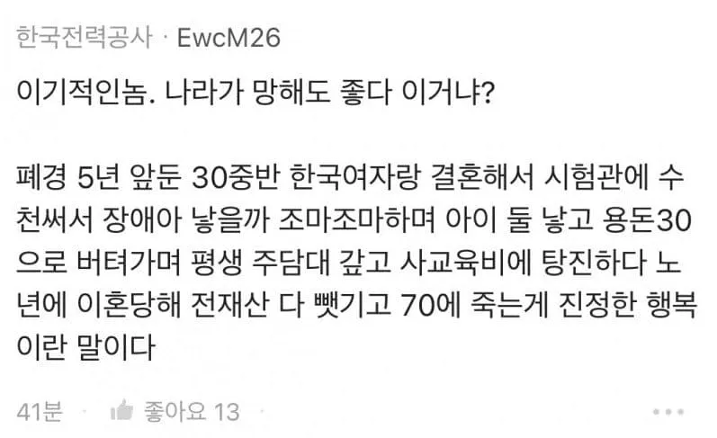 결혼 육아의 경제적 부담과 개인의 이기적 선택을 비판하는 댓글