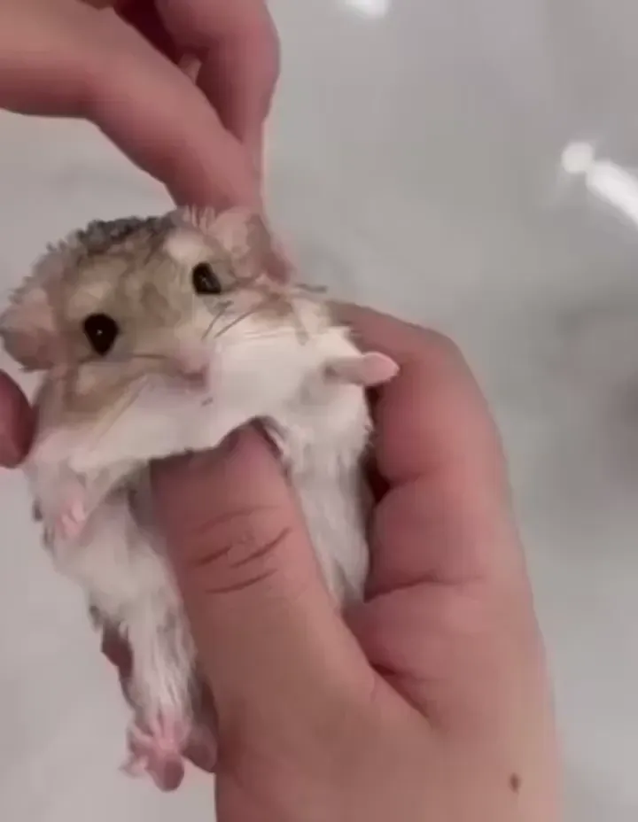 이미지 파일이 첨부되지 않았거나 OCR 텍스트가 깨져 있어서 정확한 alt 태그를 생성할 수 없습니다.

다음 중 하나를 제공해주세요:

1. **이미지 파일** — 직접 첨부
2