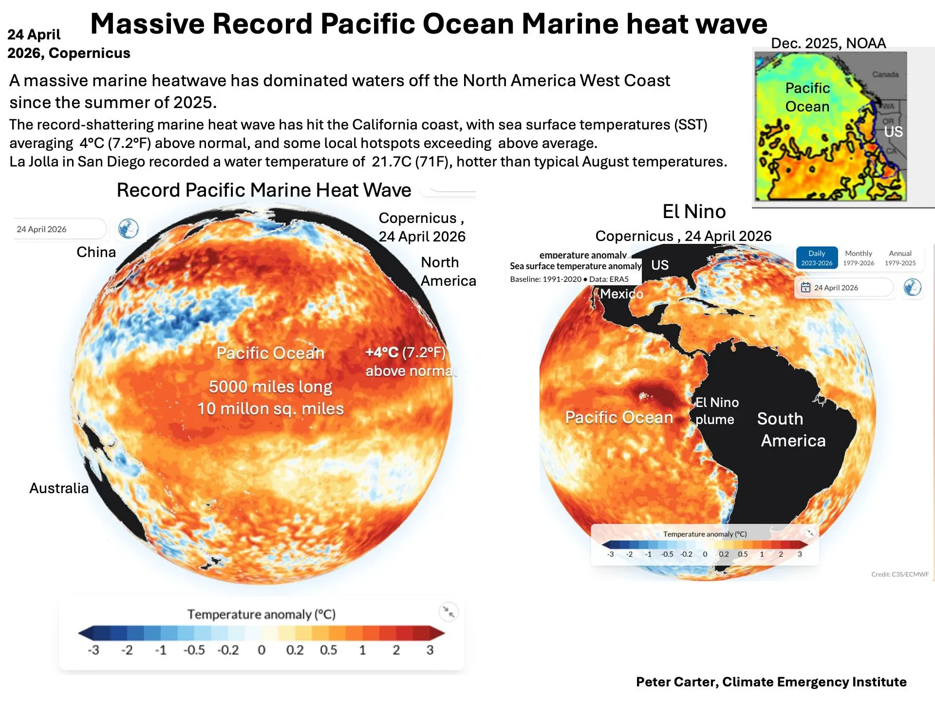 북미 서해안 대규모 해수 온난화: 수온 정상보다 4°C 상승