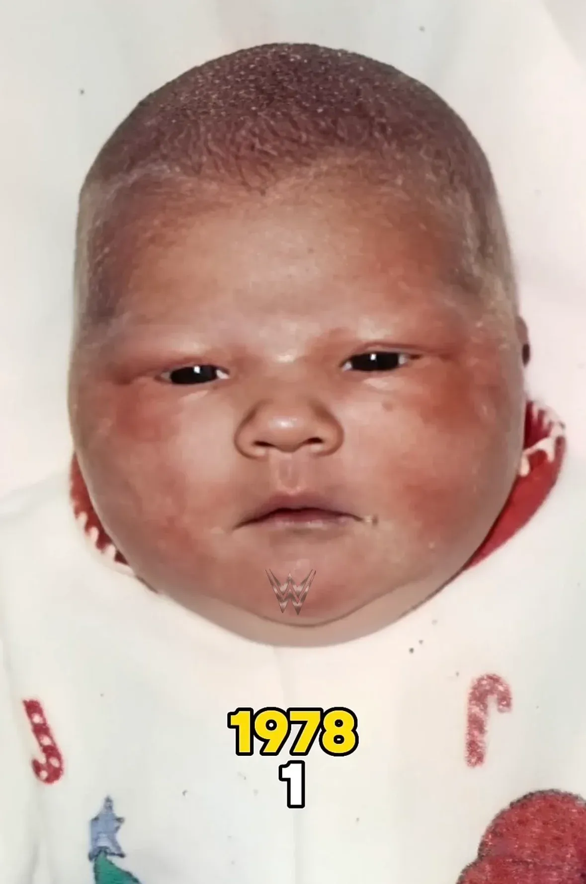 1978년의 브록레스너