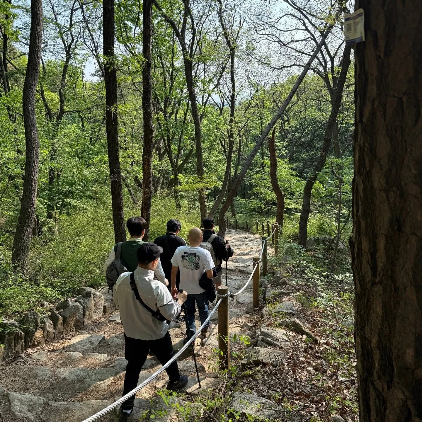 이말년 & 주호민 근황 관련 텍스트 이미지