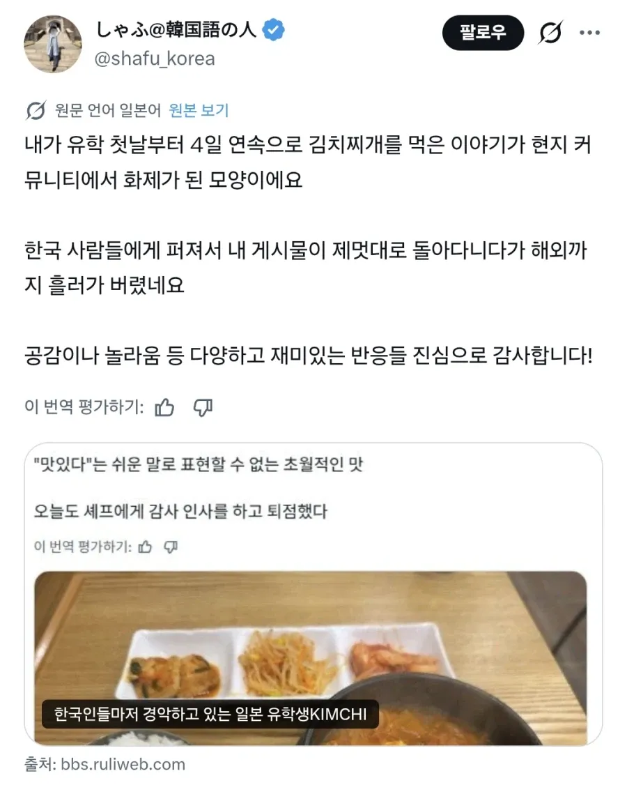유학생의 4일 연속 김치찌개 섭취 이야기 한국 커뮤니티 게시물