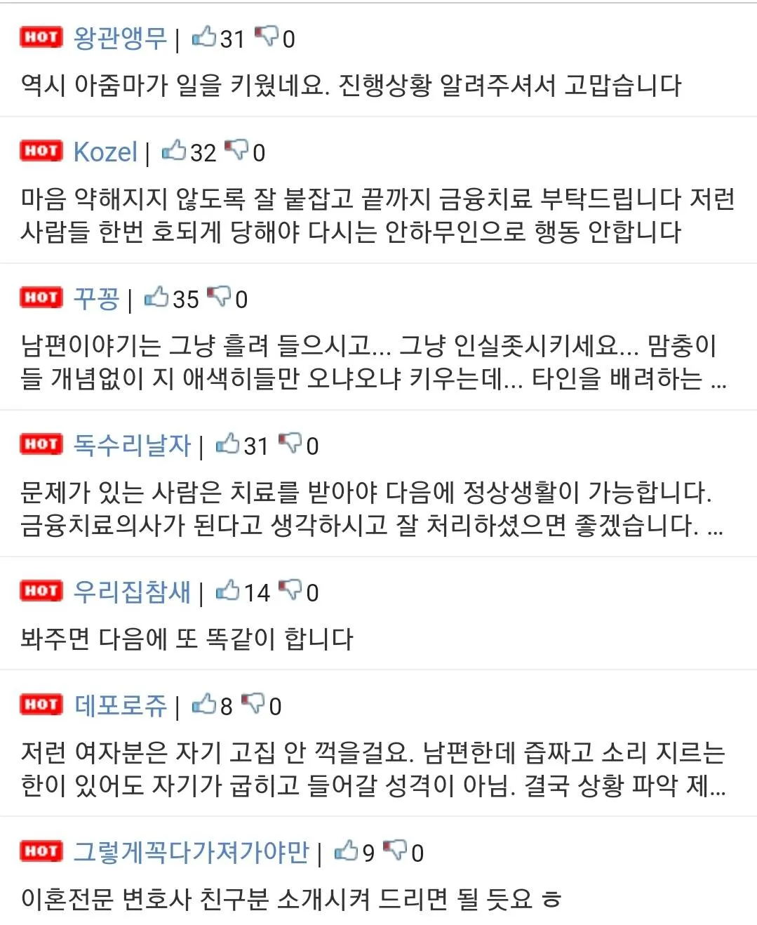 어린이 아우디 R8 손괴 사고 후속 댓글