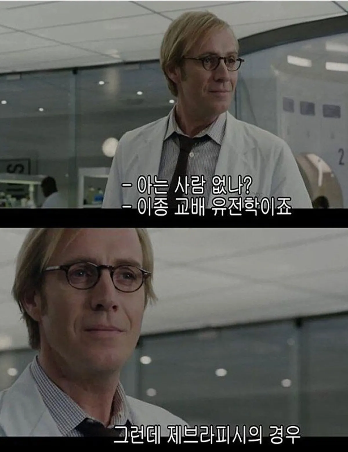 과학자들이 제브라피시 유전학으로 스파이더맨 설명하는 밈