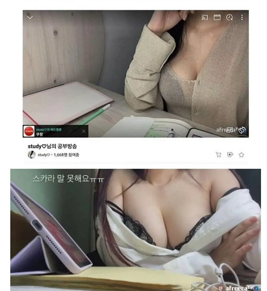 studyO 공부방송 라이브 스트림, 1,668명 시청 중