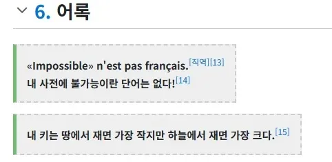 나폴레옹 명언과 정신승리를 담은 텍스트 이미지