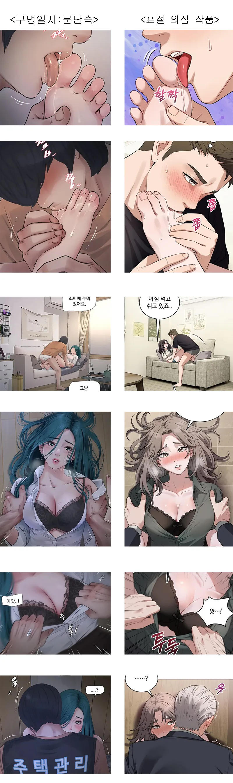 성인웹툰 표절 의심 작품 비교 분석 이미지