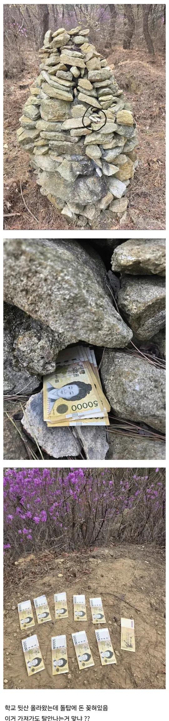 뒷산에서 주운 50만원과 그 옆의 물건