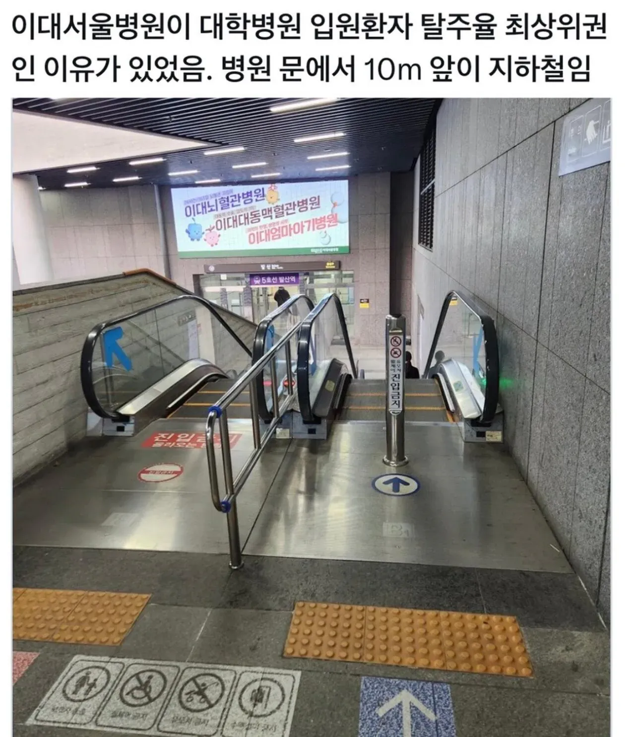 탈주 위험 높은 병원의 지하철 인접 위치 분석 그래프