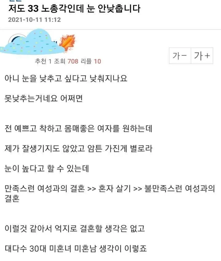 33살 미혼남성이 결혼 기준을 낮추기보다 혼자 살겠다는 댓글