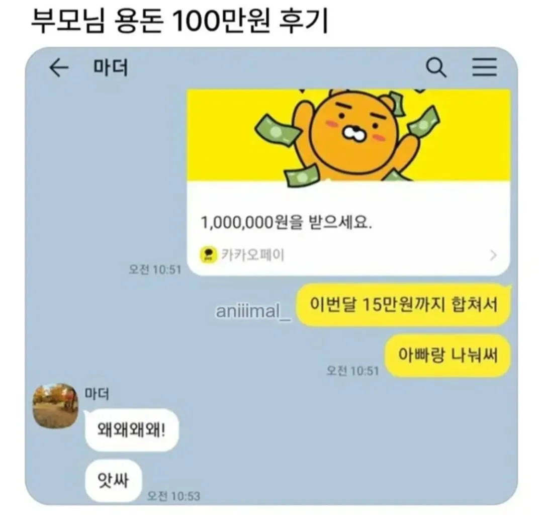부모님 용돈 100만원 후기 댓글 스크린샷