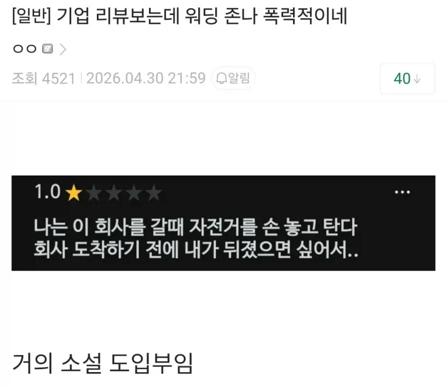 회사 리뷰의 극단적 부정적 댓글 화면