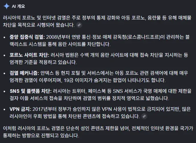 러시아 인터넷 검열 및 포르노 차단 정책 개요