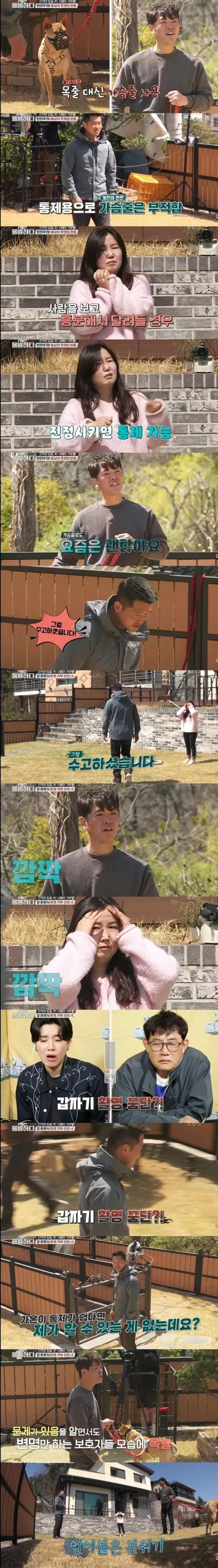 개물림 사고의 주요 원인 비율 차트
