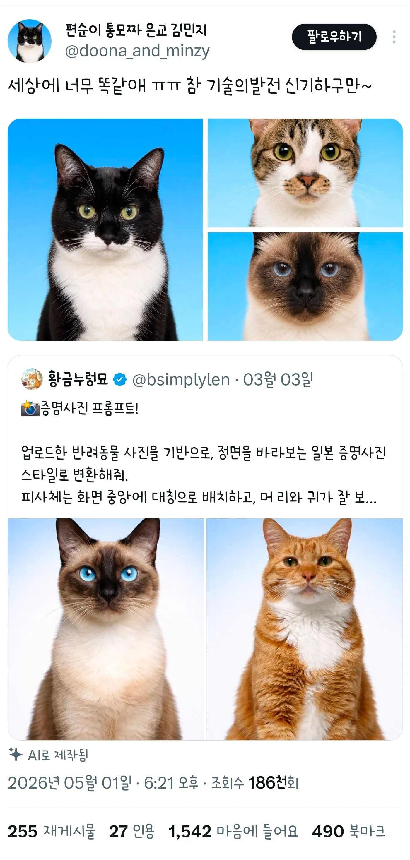 반려동물 증명사진 이미지를 기반으로 alt 태그를 생성하겠습니다:

**고양이와 강아지의 반려동물 증명사진**

(또는 더 간결하게:)

**함께 앉은 고양이와 강아지 반려동물 사