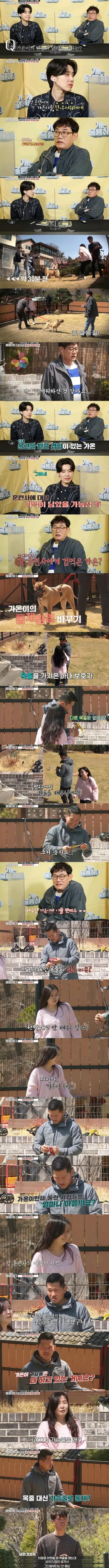 개물림 사고의 주요 원인을 보여주는 통계 차트