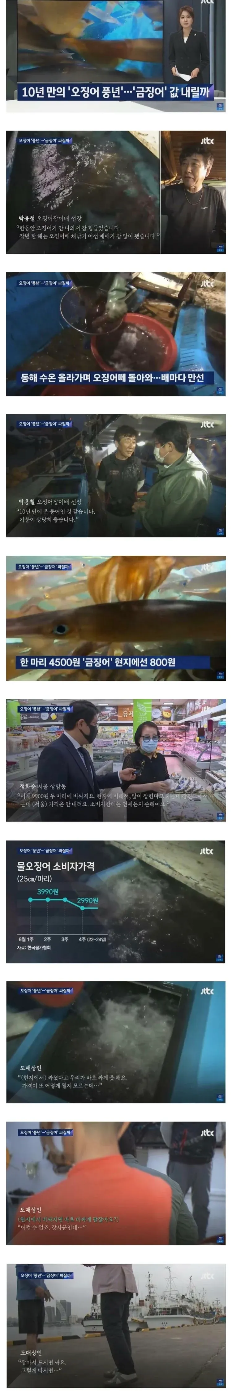 중국산 오징어 수입 급감으로 국내 가격 폭등하는 구조 설명 인포그래픽