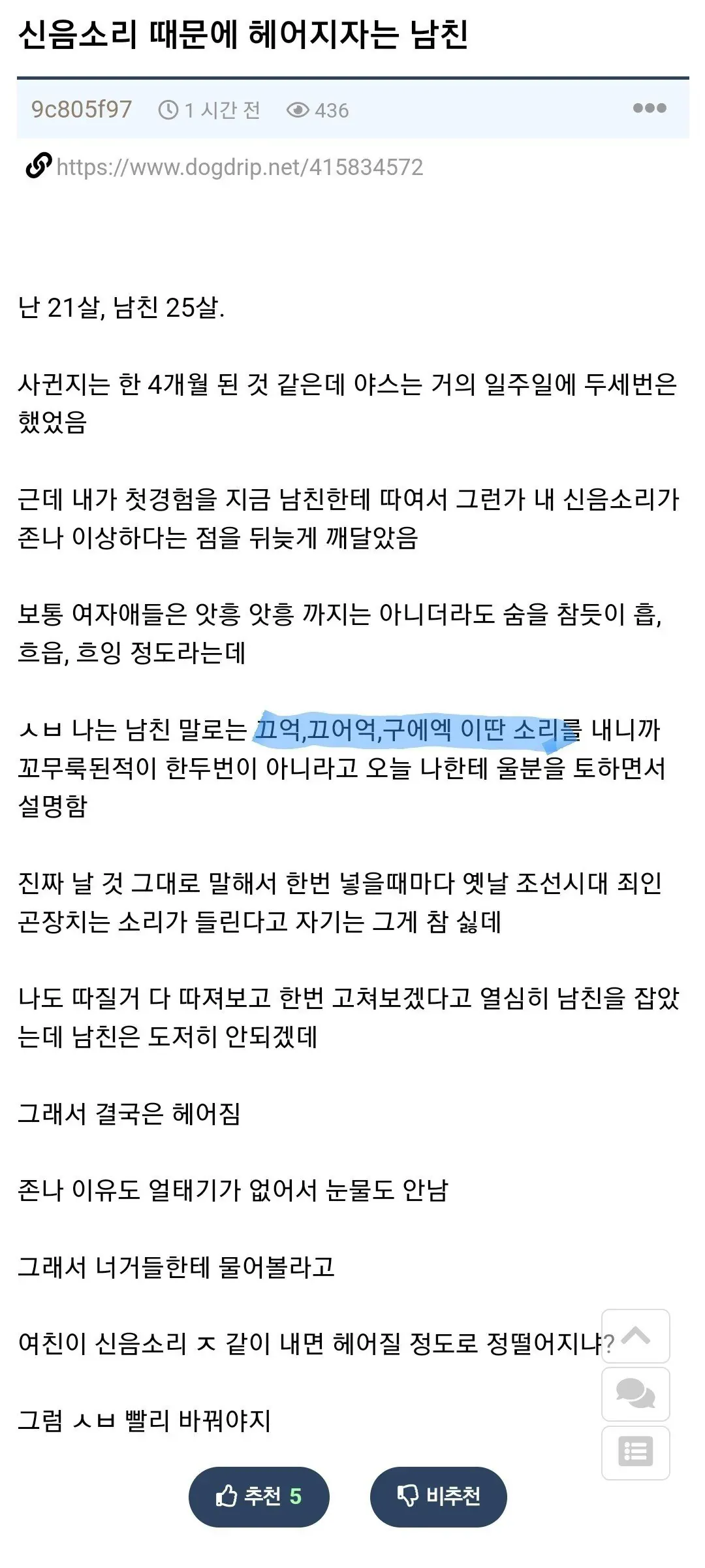 신음소리로 인한 남친과의 관계 갈등을 다룬 온라인 커뮤니티 게시물