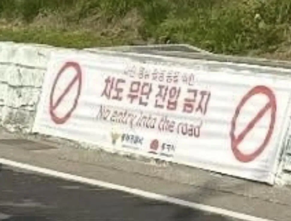 '지금 우리 집이 궁지' 텍스트가 있는 동해 삼거리 거리 상황