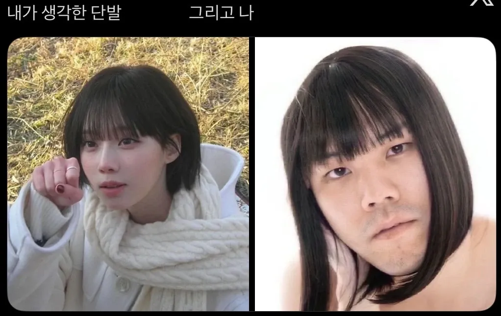 내가 생각한 단발 헤어스타일