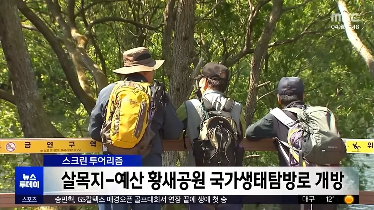 황새공원 국가생태탐방로 개방, 송민형 골프 첫 승, 살목지 현장뉴스 모음