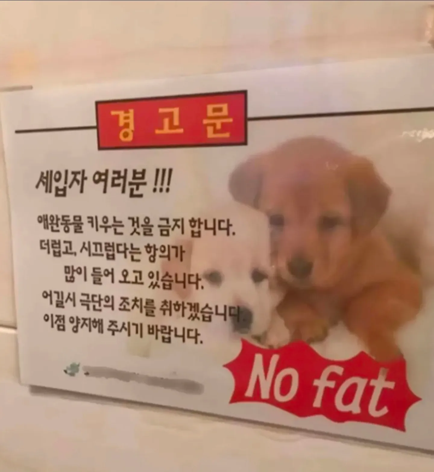 세입자 동물 사육 금지 공지문, 소음 및 불결함 관련 민원 안내