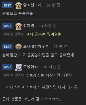 고시 4년차 결과물에 대한 디씨인 커뮤니티 댓글 화면