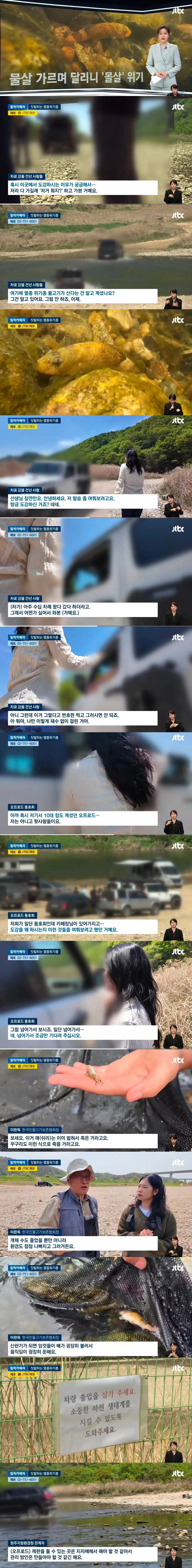 오프로드 차량이 강을 건널 때 멸종위기 물고기 서식지를 훼손하는 모습
