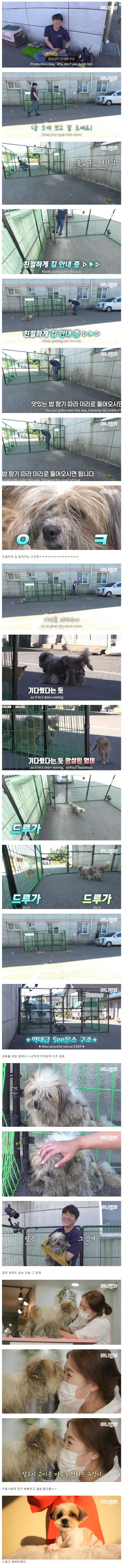 동물농장 구조팀이 음식 냄새를 따라 출연자를 안내하는 장면