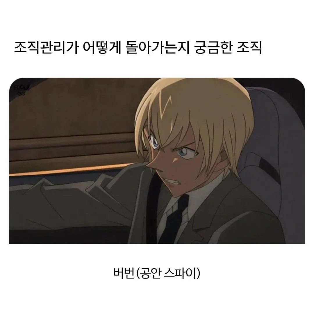 조직 관리 구조 및 역할 표시도