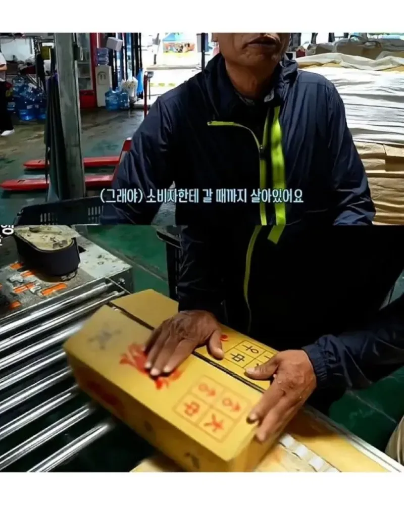 활꽃게를 산 사람들의 공감 반응