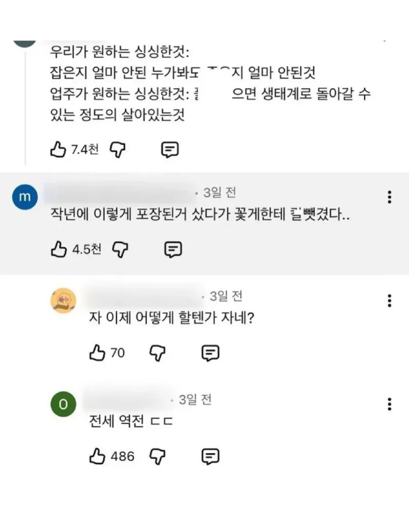 활꽃게 구매 시 기대와 현실의 격차를 표현한 유머 글