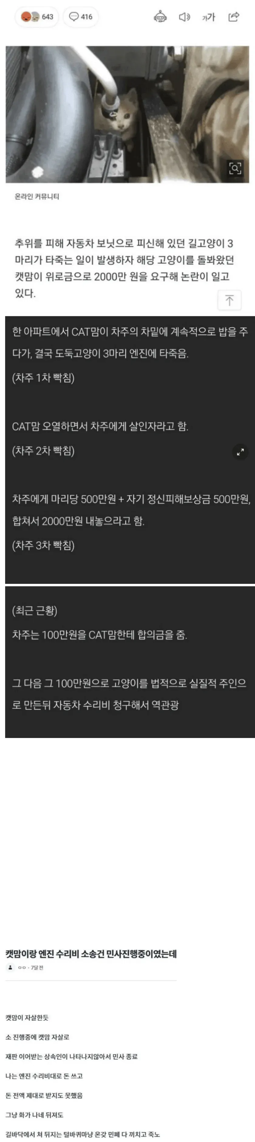 길고양이 3마리가 자동차 엔진에 깔려 숨지면서 발생한 위로금 분쟁