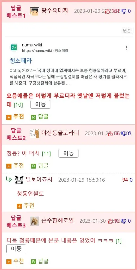 한국 커뮤니티 닭글 베스트 댓글 목록 페이지