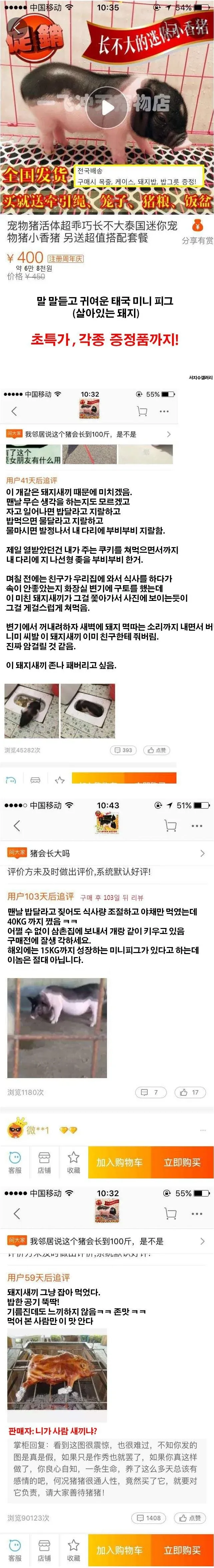 타오바오 애완돼지 장난감 상품평 페이지, 4.5점 별점 표시
