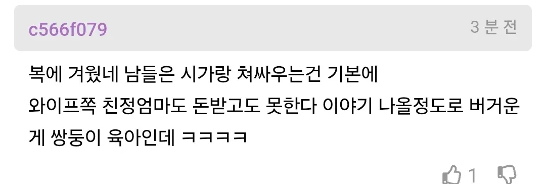 아내가 시어머니와 함께 살고 싶은 상황과 쌍둥이 육아의 어려움을 다룬 댓글